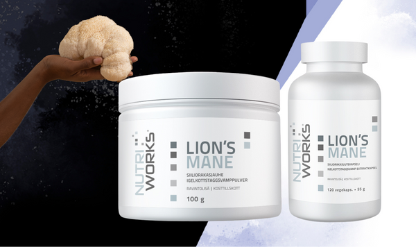 Lion's Mane ravintolisät