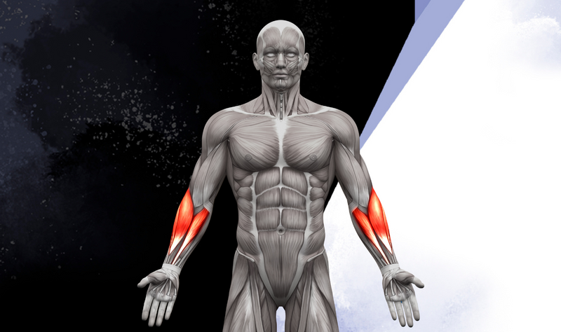 TOP 5 vinkkiä otevoimailijalle 