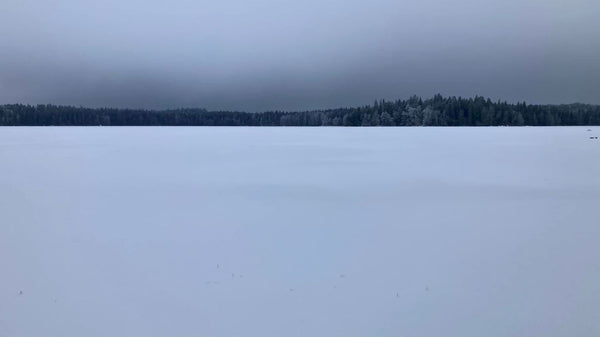 Aminopörssi ja ympäristö