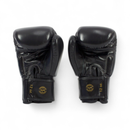 Fairtex BGV19 Nyrkkeilyhanskat, Black-Nyrkkeilyhanskat-Fairtex-10oz-Aminopörssi