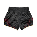 Fairtex BS1925 Mr. X Thainyrkkeilyshortsit-Kamppailuvaatteet-Fairtex-S-Aminopörssi