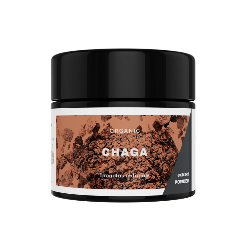 Chaga Extract Powder, 30 g-Sienituote-Kääpä Mushrooms-Aminopörssi