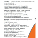 L-Theanine 100mg, 90kaps.-L-teaniini-NOW® Foods-Aminopörssi