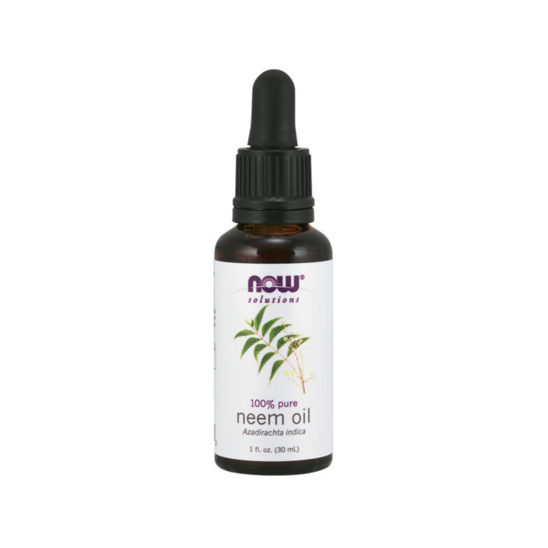 Neem Öljy, 30 ml-Kosteusvoide-NOW® Foods-Aminopörssi