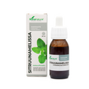 Soria Natural Sitruunamelissauute 50ml-Kasviuute-Soria Natural-Aminopörssi