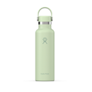 Hydro Flask 21 oz Standard Mouth, 621 ml Aloe-Teräspullo-Hydro Flask-Aminopörssi