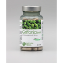 Griffonia 5-HTP 80 kaps.-5-HTP-Natura Media-Aminopörssi