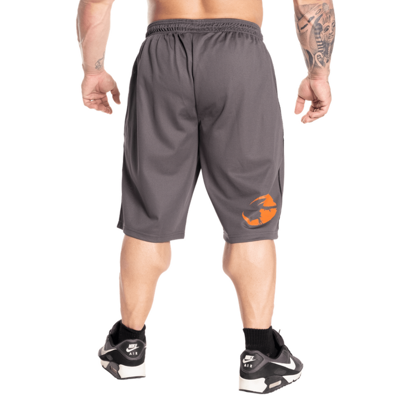 Pro Mesh Shorts, grey-Miesten shortsit-GASP-S-Aminopörssi