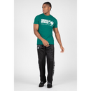 Classic T-shirt, teal-Miesten T-paita-Gorilla Wear-S-Aminopörssi